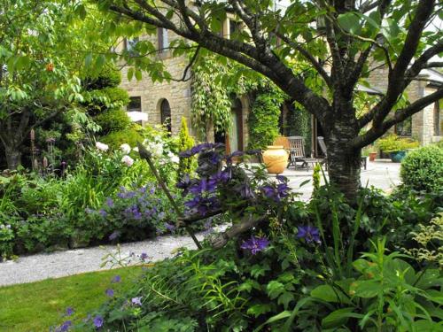 a garden with purple flowers and a tree at Whitmore in Lancaster
