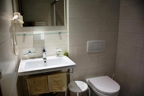 a bathroom with a sink and a toilet at Gletscher-Landhaus Brunnenkogel in Sankt Leonhard im Pitztal