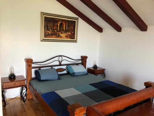 1 dormitorio con 1 cama y una pintura en la pared en Skadar lake house Bobija, en Podgorica