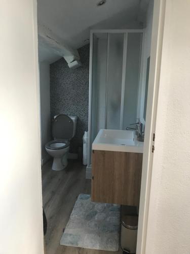 uma casa de banho com um lavatório e um WC em 5 Rue du Jeu de Paume Appartem em Valence