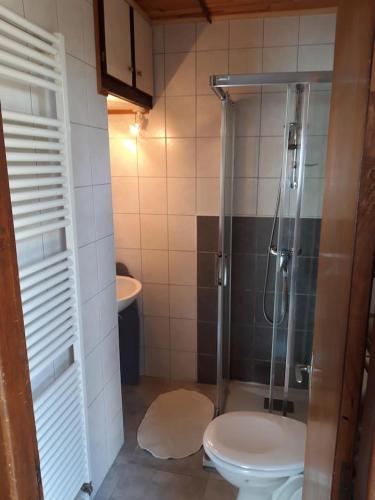 a bathroom with a shower and a toilet at Home for Geeks in Le Bélieu