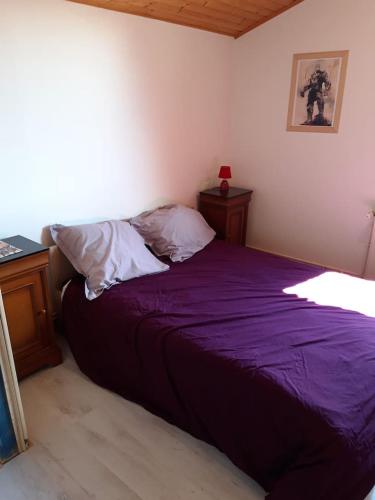 Bett in einem Zimmer mit einer lila Tagesdecke in der Unterkunft Home for Geeks in Le Bélieu