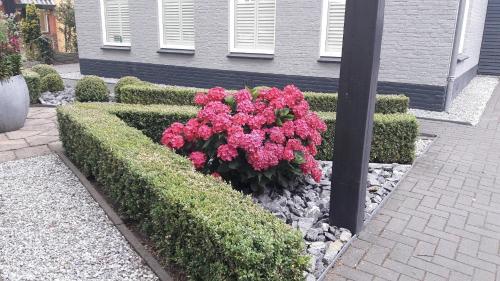 Сад в Sfeervolle 2 persoons studio in Bakkeveen