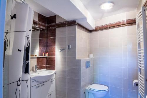 een badkamer met een toilet en een wastafel bij Apartments Bukovšek in Portorož
