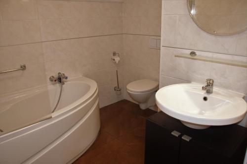 a bathroom with a sink and a tub and a toilet at Kasteel Schaloen in Valkenburg