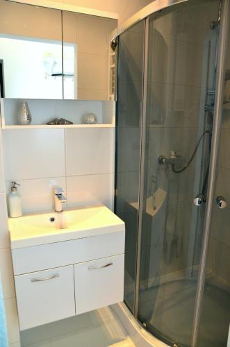 a bathroom with a shower and a sink at Apartament Domi in Gniezno