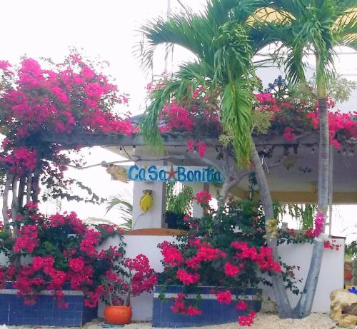 a building filled with lots of pink flowers and palm trees at Casa Bonita Inn in La Parguera