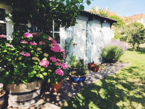 a bunch of flowers in pots in a yard at Ebeltoft Midtby in Ebeltoft