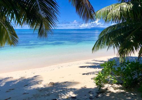 a beach with palm trees and the ocean at Château de feuilles & SPA - Praslin island in Baie Sainte Anne
