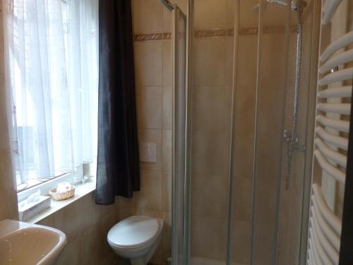 a bathroom with a shower and a toilet and a sink at Hotel Friedchen mit eigener Fleischerei in Artern
