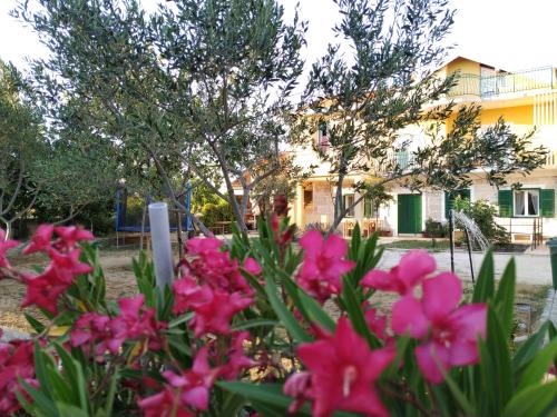 a bunch of pink flowers in front of a building at Šimun&Jakov in Drinovci
