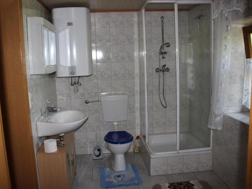 ein Bad mit einem WC, einer Dusche und einem Waschbecken in der Unterkunft Ferienhaus Stockmeier in Otting