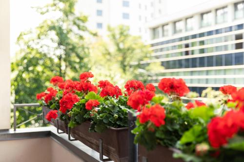 a row of red flowers in a vase on a window sill at Hotel Eden am Zoo in Berlin