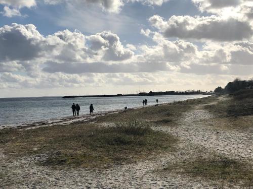 a group of people walking on the beach at Cosy little guesthouse near beach & public transport in Greve Strand
