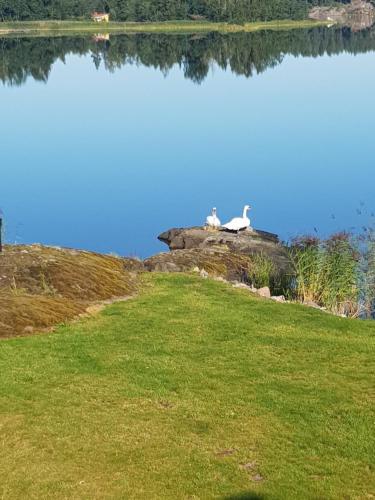 Fotografie z fotogalerie ubytování Toppstugan v destinaci Åkerö