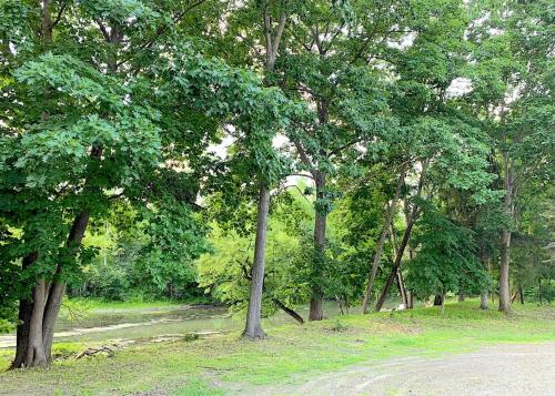 a group of trees in a park with a road at Micosta Leisure Inn in Hudson