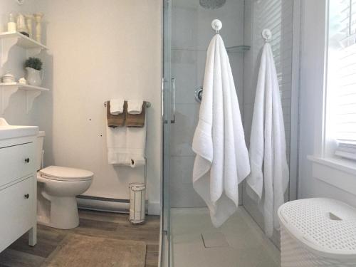 a bathroom with a toilet and a shower with towels at Mahone Bay Hide-Away in Mahone Bay
