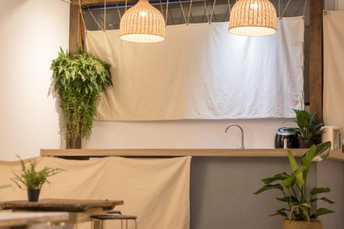 a kitchen with two potted plants and two lights at Island River in Green Island