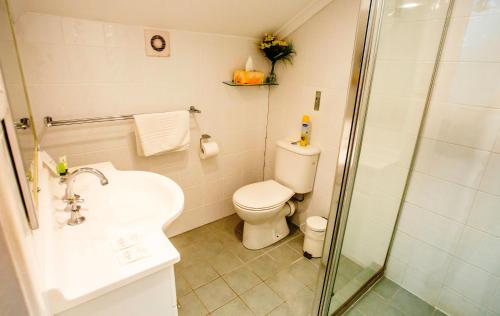 a bathroom with a toilet and a sink and a shower at Ainslie Manor Guest House in Redcliffe