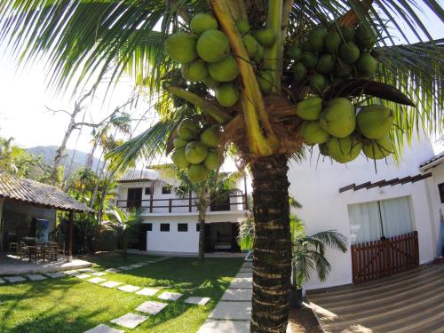 Un palmier avec une bande de bananes vertes dans l'établissement Espaço Aba Maranata, à Ubatuba