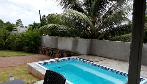 a swimming pool in a yard with a palm tree at Eco Lodge Self-Catering 1-2 in Mahe