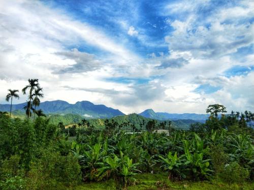 a field with palm trees and mountains in the background at Kurumba JiJi B&B in Jiji