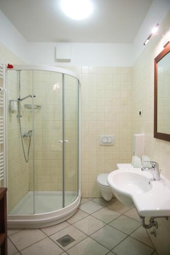 a bathroom with a shower and a sink and a toilet at Guesthouse Muha in Lipica