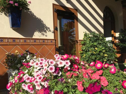 a bunch of flowers in front of a building at Apartment with private patio in Fuengirola