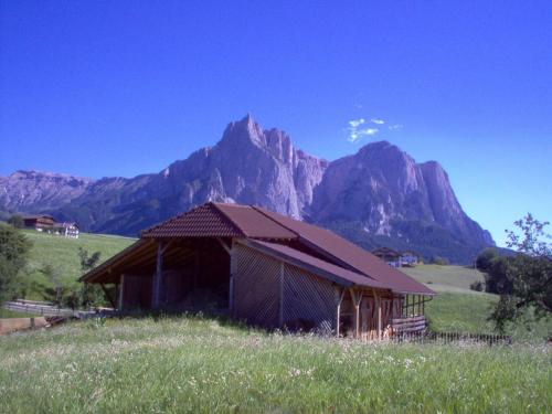 an old barn in a field with mountains in the background at Residence Viktoria in Castelrotto