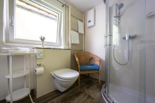 a bathroom with a toilet and a window and a shower at B&B Haus Hemetzberger in Hallstatt