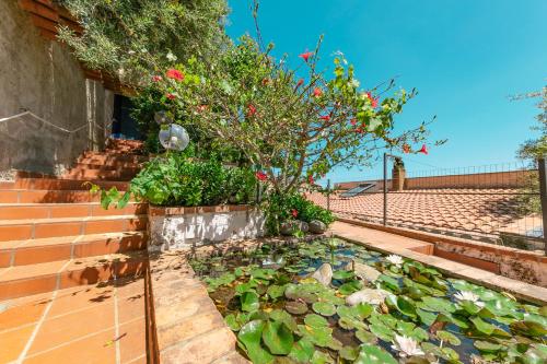 Un jardín fuera de L' Arca Residence