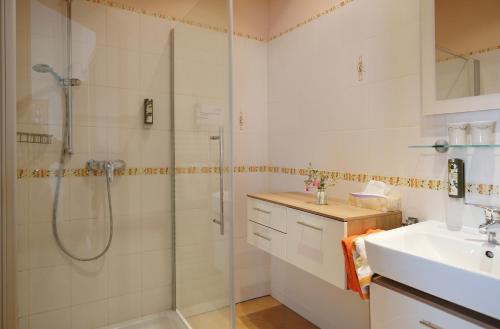 a bathroom with a shower and a sink at Weingut Familie Schuster in Großriedenthal