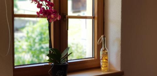 a window with a potted plant and a bottle on a window sill at Ferienwohnung Bader in Bolsterlang