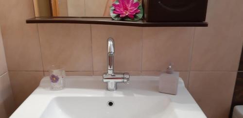 a bathroom sink with a faucet and a pink flower at Βlue Horizon Lixouri in Lixouri