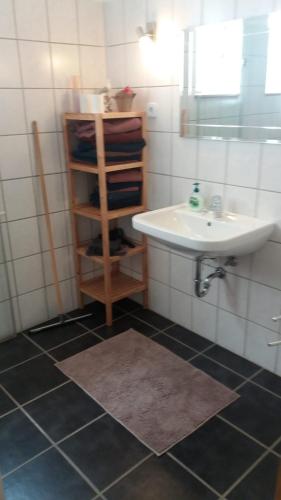 a bathroom with a sink and a mirror and a shelf at Ferienwohnung Im Waldwinkel in Stadthagen