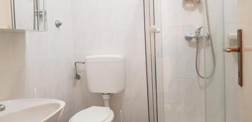 ein Bad mit einer Dusche, einem WC und einem Waschbecken in der Unterkunft Appartamenti Clara in Poreč