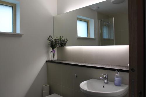 a bathroom with a sink and a mirror at Apt 1, Frasers Close, Kirkwall in Kirkwall