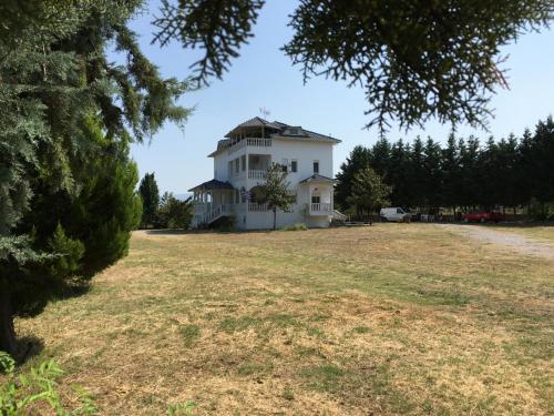 a large white house with a large yard at Olympus Mytikas Apartment in Litochoro
