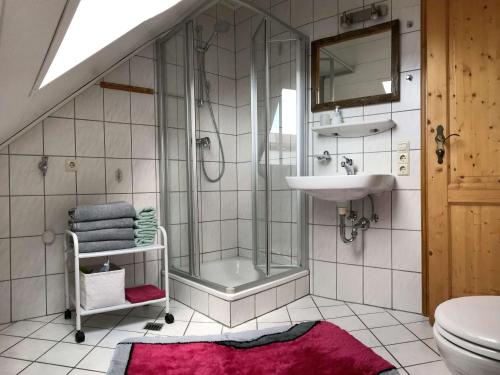 a bathroom with a shower and a sink and a toilet at Ferienhof Hanssler in Wilhelmsdorf