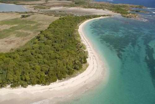 an aerial view of a beach with trees and the ocean at Val d'Or Bungalow Beach in Bellevue