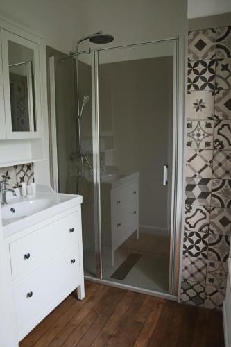 a bathroom with a shower and a sink and a mirror at LA GOUTTE D'OR in Avize