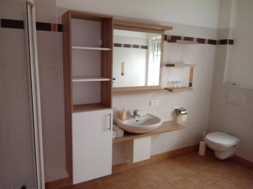 W łazience znajduje się umywalka, toaleta i lustro. w obiekcie Haubis Ferienwohnungen w mieście Podersdorf am See