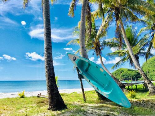 a blue surfboard leaning on palm trees on a beach at Malakati Village Beach House in Nacula Island