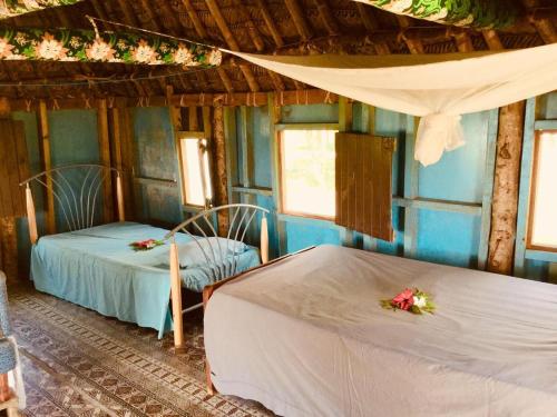 two beds in a room with blue walls and windows at Malakati Village Beach House in Nacula Island
