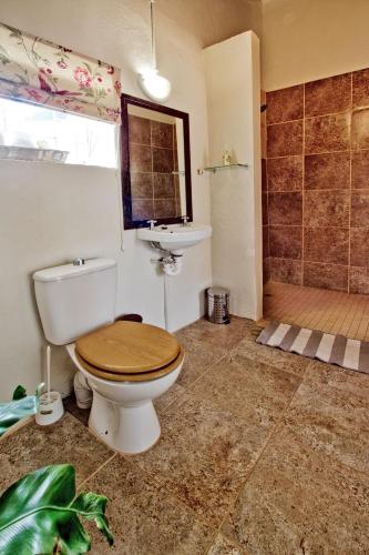 a bathroom with a toilet and a sink and a shower at Morendat House in Graaff-Reinet