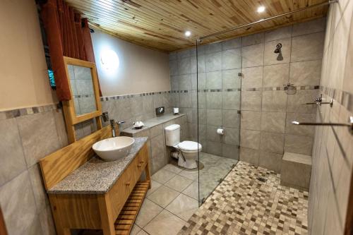 a bathroom with a toilet and a sink and a shower at Gooderson DumaZulu Lodge in Hluhluwe