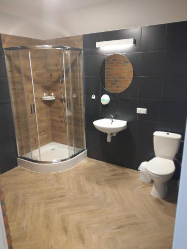 a bathroom with a shower and a toilet and a sink at Pokoje w Moszczenicy U Pasonia in Stary Sącz