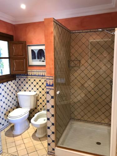 a bathroom with a toilet and a shower at Villa Candela En La Colina in Benahavís