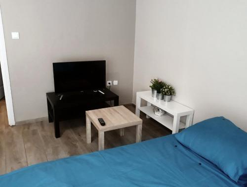 une chambre avec un lit, une chaise et une table dans l'établissement Appartements Le Vivier 1er ou rez de chaussée avec parking, à Boulogne-sur-Mer