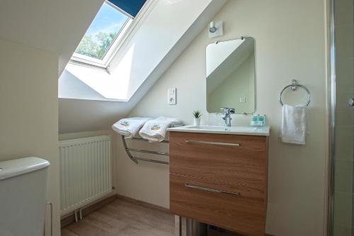 La salle de bains est pourvue d'un lavabo et d'un miroir. dans l'établissement Le Feneau Maison d'hôtes, à Creuzier-le-Neuf